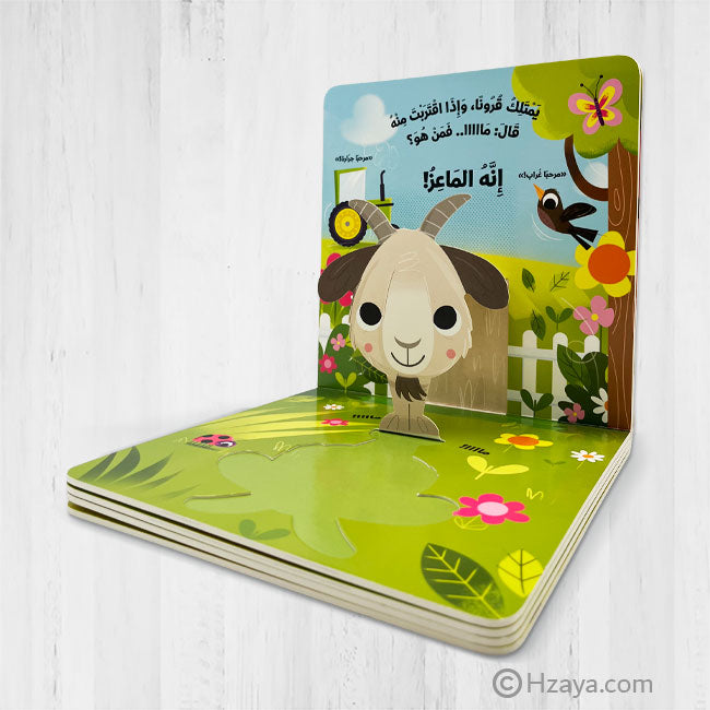 سلسلة رسل – 11 قصة