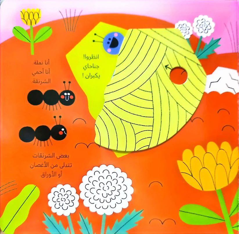 عالمي الصغير الأخضر ( الفراشة )