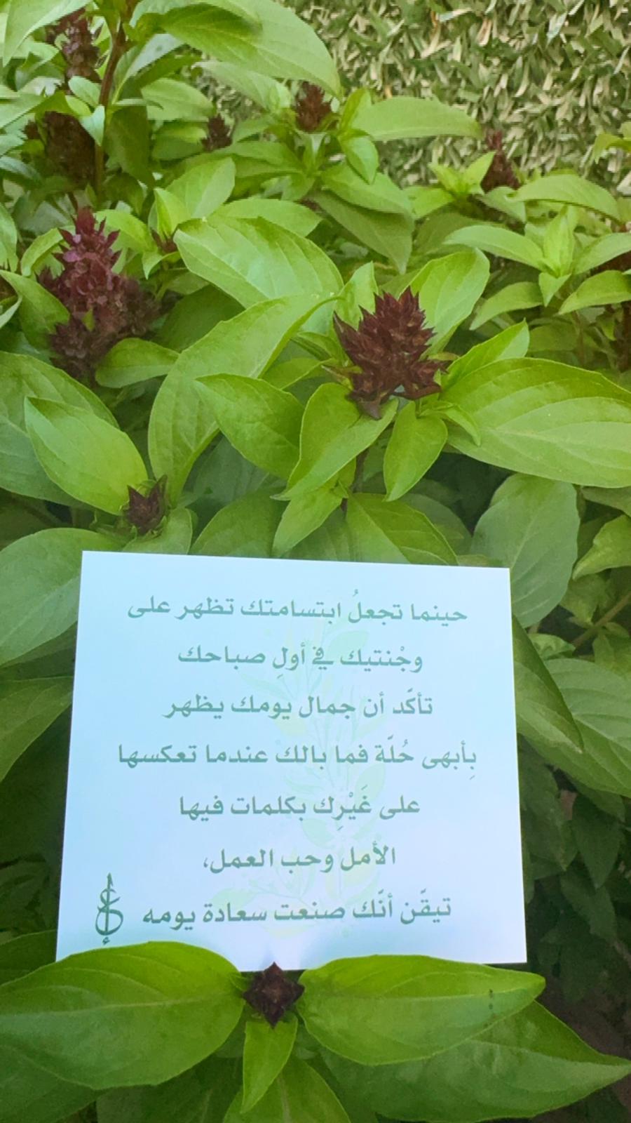 كروت على سبيل السعادة