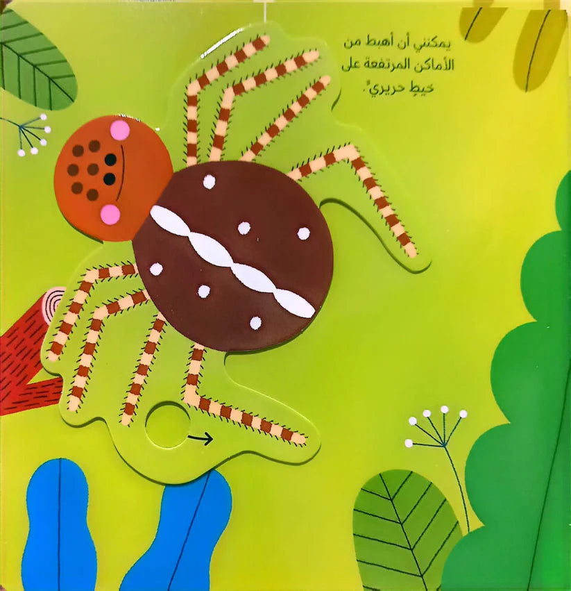 عالمي الصغير الأخضر  (العنكبوت )