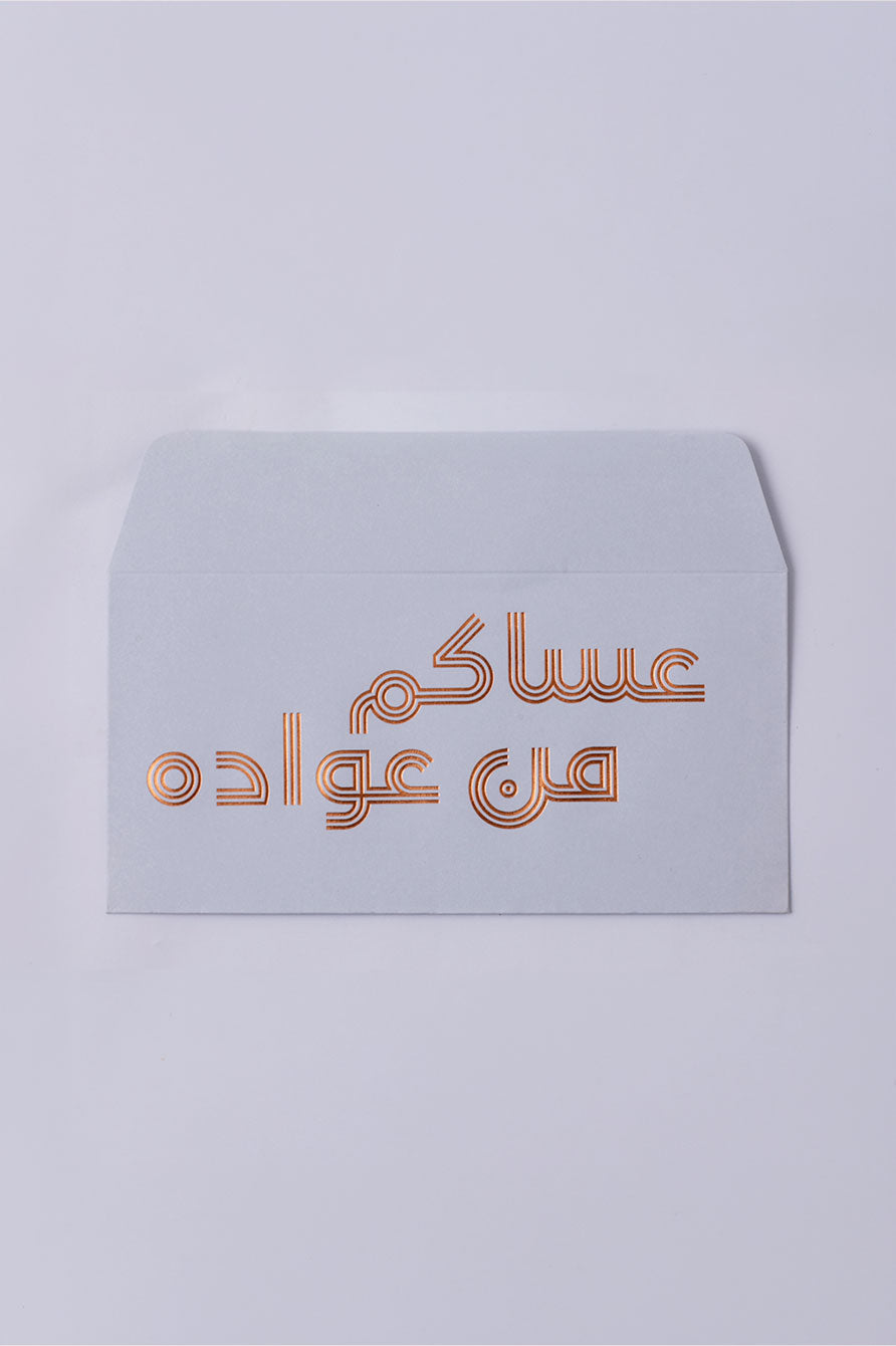 12 ظرف عساكم من عواده رمادي